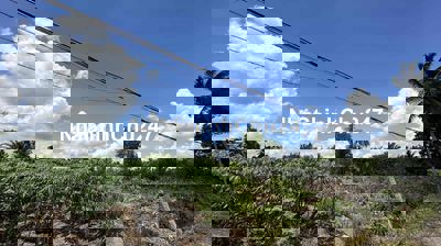 Chính chủ cần bán gấp đất Bình Đức cách TL816 chỉ 90m