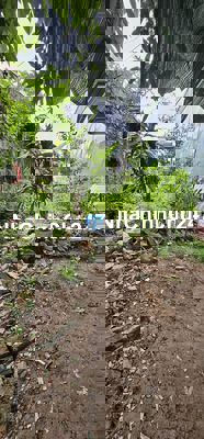 CHÍNH CHỦ CẦN BÁN ĐẤT GẦN KIM GIANG CẦU TÓ, Ô TÔ NGAY GẦN ĐẤT