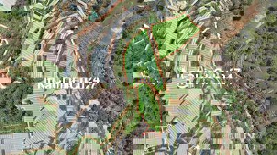 Chủ Nợ Ngân Hàng bán gấp 460m2 Ven Đà Lạt Giá Ngộp Chỉ 598tr