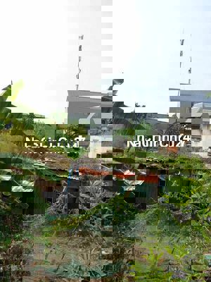 Chính chủ cần bán lô đất tân kim cần giuộc 100m2 SHR giá 555 triệu