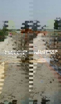 Chủ Ngộp Cần Bán gấp lô đất nền Củ Chi full Thổ cư chỉ nhỉnh 7tr/m2