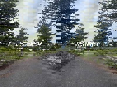 chính chủ gửi bán lô góc green đường 10m5 và 5m5 giá đầu tư