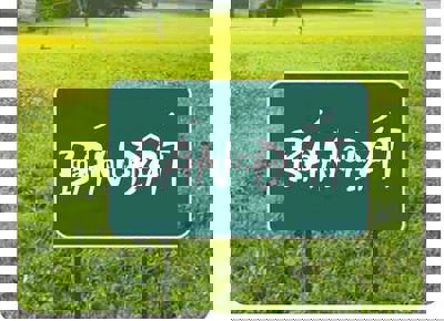 Bán Đất Chính Chủ, Điện Quang, Quảng Nam