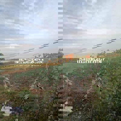 đất nền chính chủ sổ hồng riêng công chứng ngay