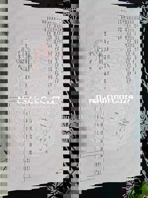 Chính chủ bán đất SHR ,Tiền Giang.giá bán gấp