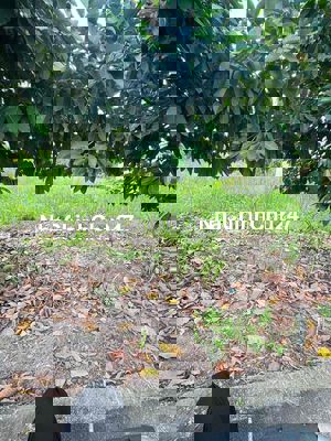 chính chủ cần bán gấp 500m2 sát chợ trường