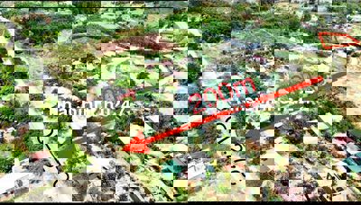 Chính chủ cần Bán đất Thổ Cư giá cực rẻ