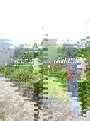 Đất nền thổ cư Tuy Phước chính chủ