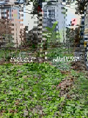 Chính chủ cần bán đất tại Xuân Khanh, Sơn Tây