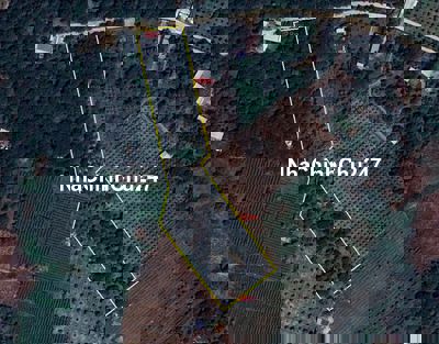 CẦN BÁN ĐẤT CHÍNH CHỦ, 750 triệu/1000m²