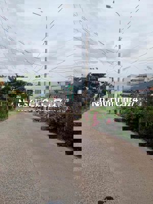 bê tông điện nam trung giá tốt chính chủ