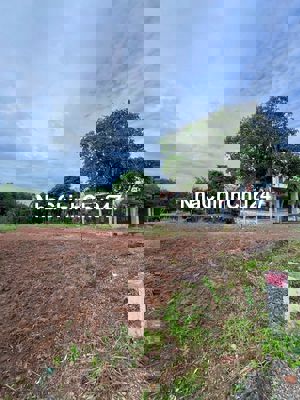 Chính chủ cần bán đất tại An Linh, Phú Giáo, 500m2(10x50), 800 triệu