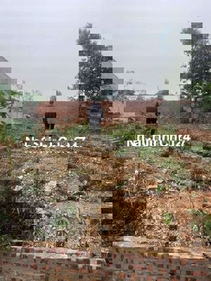 CHÍNH CHỦ BÁN ĐẤT CÓ SỔ ĐỎ Ở TAM DƯƠNG VĨNH PHÚC