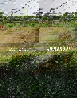 Chính chủ bán gấp đất DT 116,5m2 giá 679tr Tiền Giang