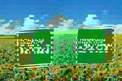 Chinh chủ ban đất Tân Thạnh Đông, Củ Chi, DT 10x39m ,