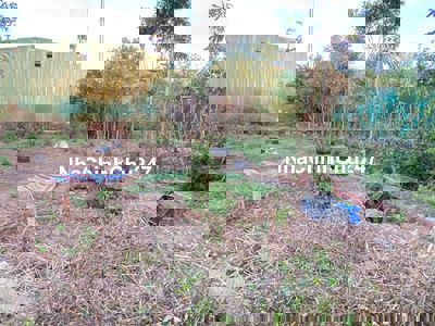 CHÍNH CHỦ - BÁN ĐẤT MẶT TIỀN NGUYỄN TRƯỜNG TỘ