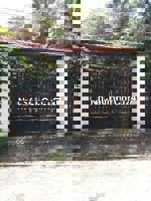 ĐẤT FULL THỔ CƯ chính chủ - Phước Hậu, Cần Giuộc, Long An