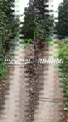 Chủ cần bán gấp 9500m đất có thổ cư Tân Bửu-Bến Lức