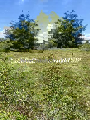 Cần ra đi lô đất đại hiệp, chính chủ . Cần tiền trả nợ nên bán gấp