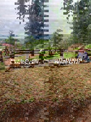 CHÍNH CHỦ BÁN 14.425M2 ĐẤT 2 MẶT TIỀN *** KHU MẶT SÔNG ĐA NHIÊM