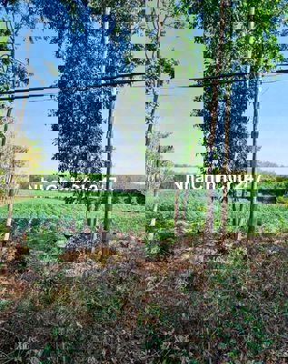 Chính chủ bán 1,2ha ~ gần 11350 mặt tiền DH1 Tây Ninh có 7 lô thổ cư