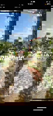 chính chủ bán nhà vườn tuyệt đẹp