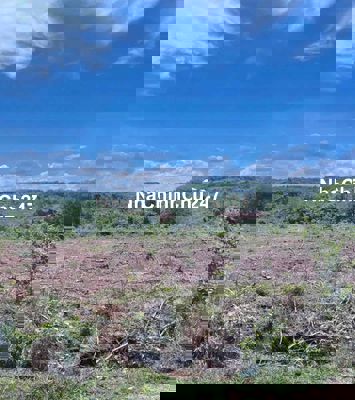 🏡 CHÍNH CHỦ CẦN BÁN ĐẤT RỘNG LỚN XÃ PHƯỚC BÌNH – LONG THÀNH – ĐỒNG NAI