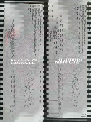 chính chủ cần bán nhà mặt tiền kinh doanh đường CMT8