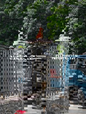 Cần bán lô đất chính chủ mặt tiền Nguyễn Thị Rành