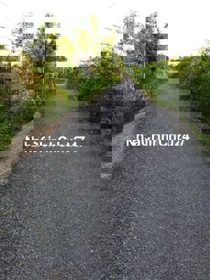 Chính chủ cần bán lô đất mặt tiền kênh T4