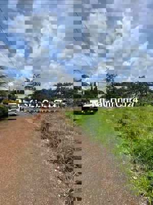 Đất chính chủ có sổ Hồng sẵn