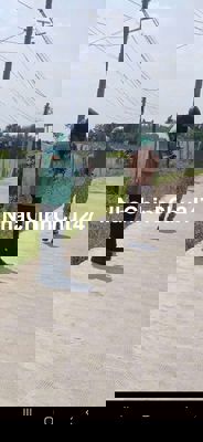 Đất chính chủ cần bán gấp đức lập thượng cũ (hậu nghĩa mới )