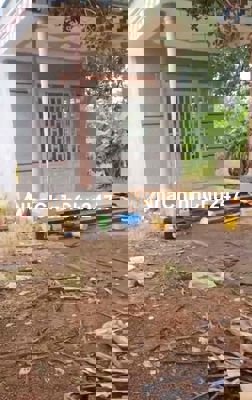 Chính chủ bán gấp 1 ha đất vườn có nhà cấp 4 giá rẻ