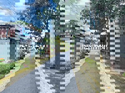 1.65 tỏi / DX 132 tân an chủ ngộp bank