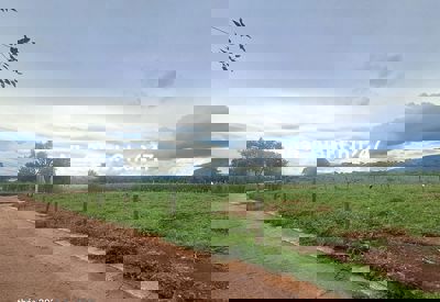 Chính chủ bán đất gần sân bay Liên Khương 730 triệu 121m² sổ riêng