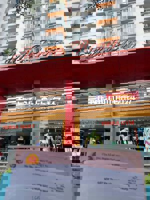 Chính chủ bán gấp căn hộ Terra Rosa Khang Nam, 2PN giá rẻ, sổ hồng.