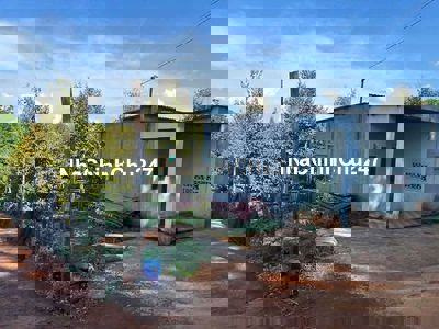 Chủ cần bán gấp nhà và vườn sầu riêng