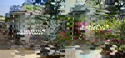 Chủ gửi mảnh đất bằng phẳng 2058m2 gồm nhà vườn cây ăn trái