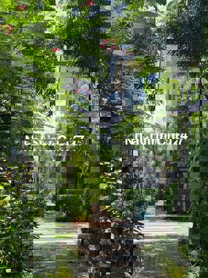 Chính chủ bán căn nhà phố vườn 1T2l Ri2 trục 16m gần sông