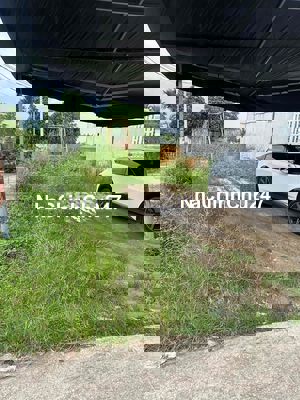 Cần Bán Đất Chính Chủ