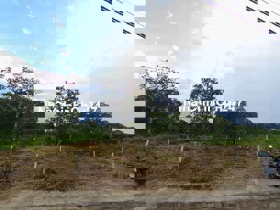 Chính chủ cần tiền bán gấp