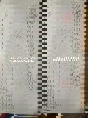 Chủ cần bán đất mặt tiền Trúc Bạch