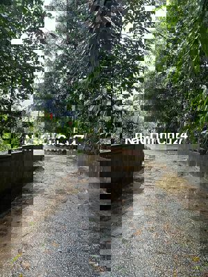 Chính chủ bán 100m2 đất mặt tiền kiệt Minh Mạng