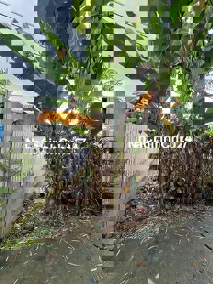 Bán gấp đất chính chủ 3,5x22m cách trường Hoạ Mi điểm phụ 200 mét