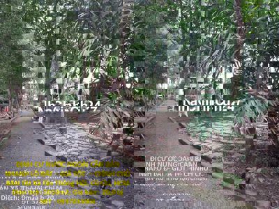 BÁN NHANH LÔ ĐẤT GIÁ TỐT CHÍNH CHỦ BÁN TẠI Xã Tân Thông Hội,Củ Chi,HCM