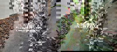 NHÀ ĐẸP CHÍNH CHỦ, HH 1% ACE MG