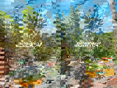 CHỦ GIẢM MẠNH GIÁ CÒN 37 TỶ🔥 ĐẤT 3 MẶT HẺM — Ô TÔ VÀO TẬN NƠI