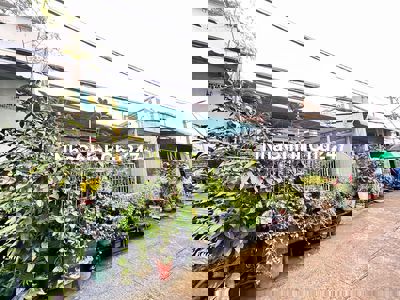 chính chủ bán nhà sát nguyễn văn tăng ,tp.thủ đức , 123m2- ngang 6,6m