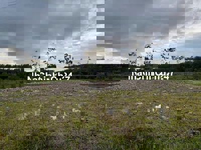 đất gần hồ dầu tiếng, chính chủ ,giá ngộp cần ra nhanh