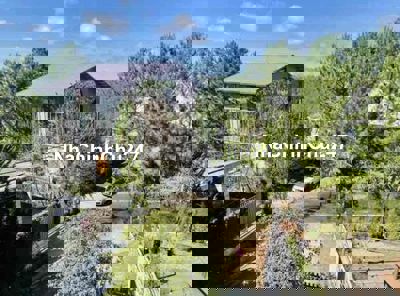 Chủ bể hụi bán đất biệt thự view thông mặt tiền P9 Đà Lạt giá ngộp